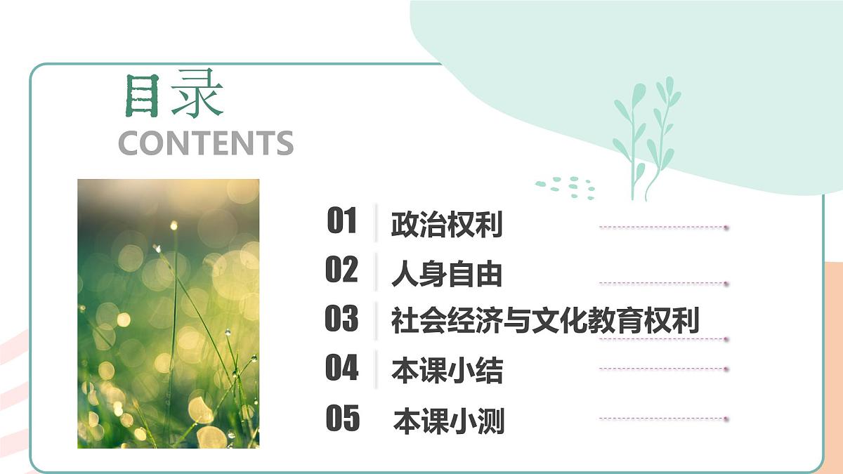 3.1公民基本权利 课 件 2024-2025学年统编版道德与法治八年级下册课件PPT第5页