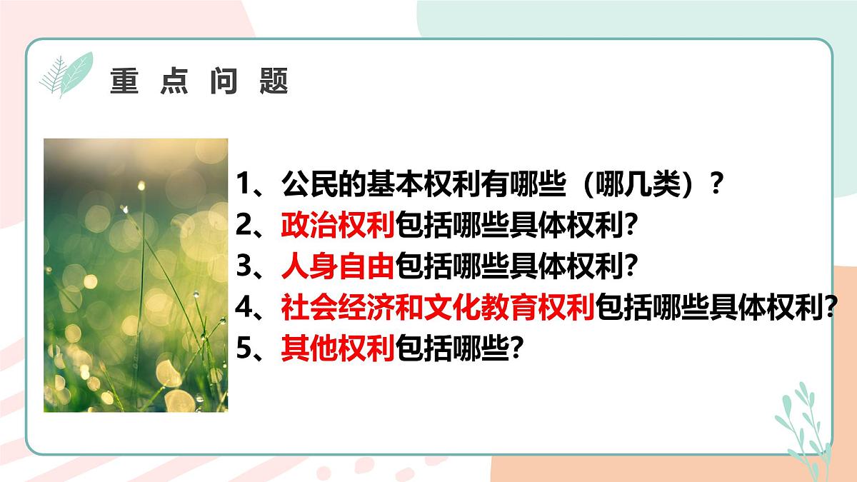 3.1公民基本权利 课 件 2024-2025学年统编版道德与法治八年级下册课件PPT第6页