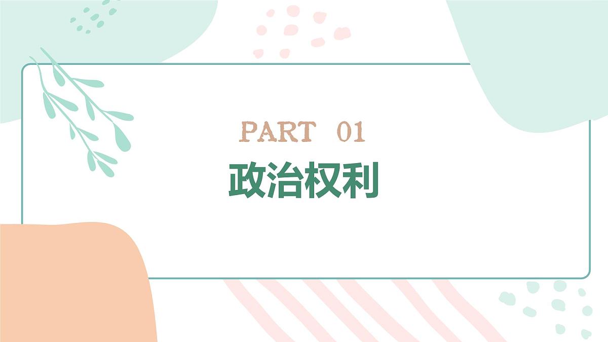 3.1公民基本权利 课 件 2024-2025学年统编版道德与法治八年级下册课件PPT第7页