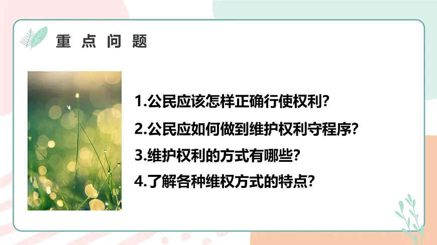 3.2依法行使权利 课 件 2024-2025学年统编版道德与法治八年级 下册课件PPT第3页