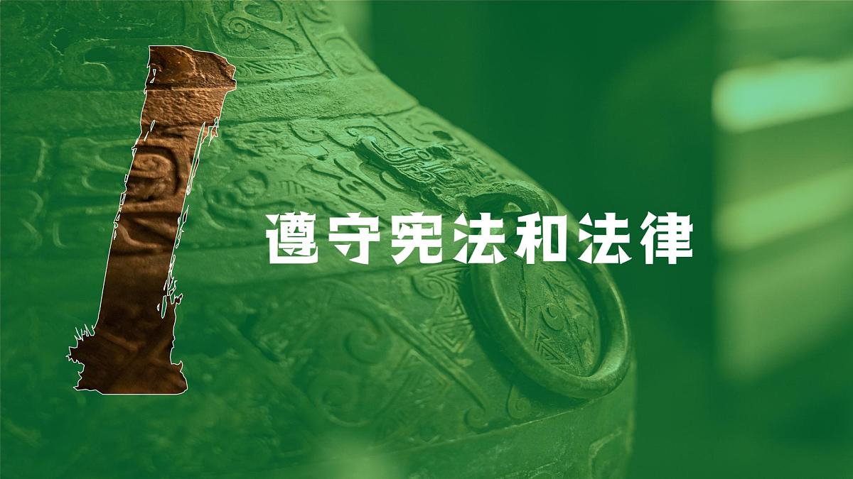 4.1公民基本义务 课件 2024-2025学年统编版道德与法治八年级下册第5页