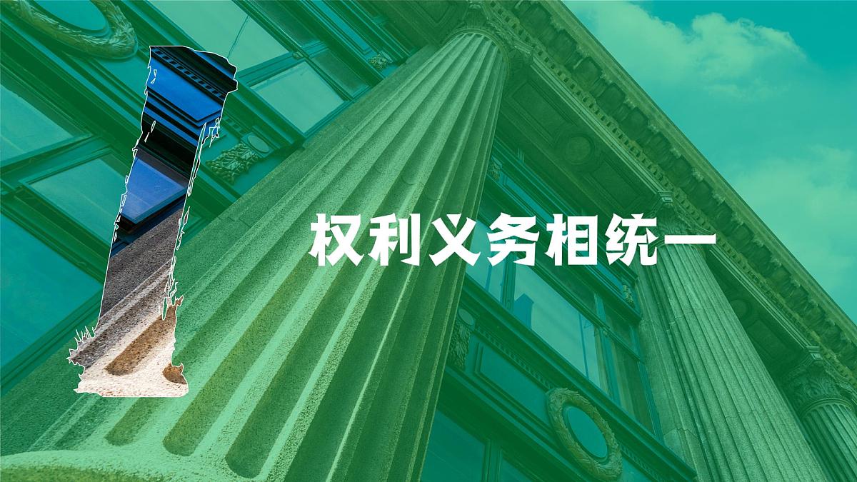 4.2依法履行义务 课件 2024-2025学年统编版道德与法治八年级下册第5页