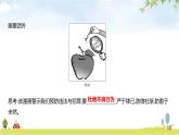 人教版七年級道德與法治下冊第四單元第十一課第三框嚴(yán)于律己課件
