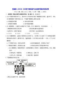统编版（2024）七年级下册道德与法治期中模拟检测试卷（含答案）