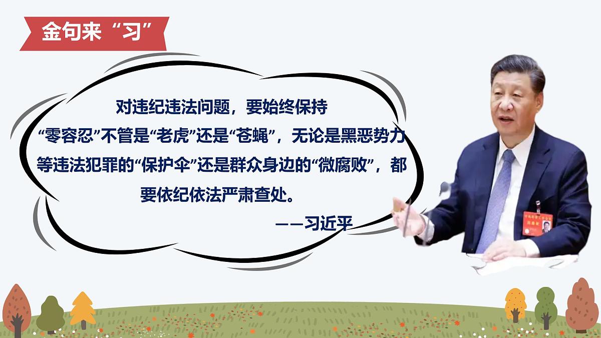 11.2 犯罪与刑罚——初中道德与法治统编版（2024）七年级下册教学课件第8页