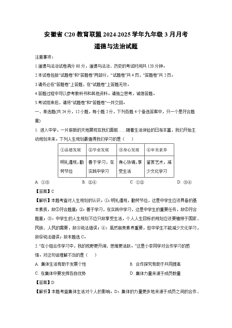 安徽省C20教育联盟2024-2025学年九年级下3月月考道德与法治试卷（解析版）第1页