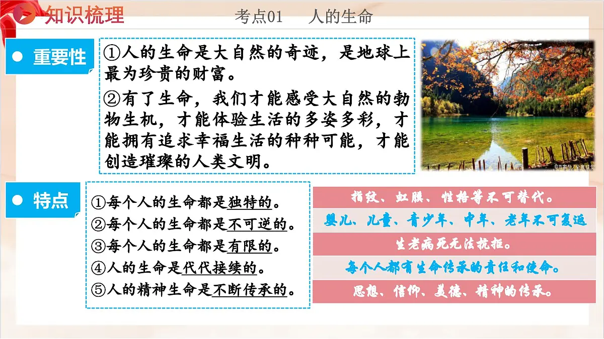 新统编版道法七上 第三单元《珍爱我们的生命》复习课件第6页