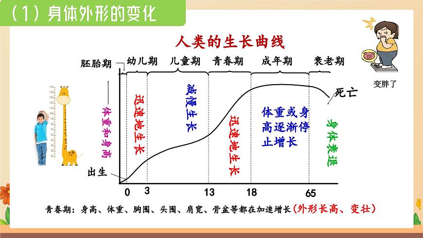新人教版道法七下 1-1-1《青春的邀约》 课件第5页