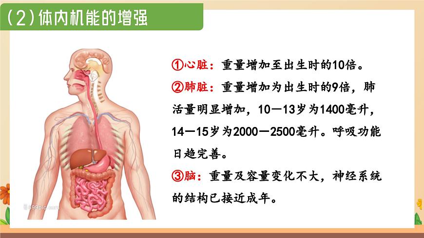 新人教版道法七下 1-1-1《青春的邀约》 课件第6页