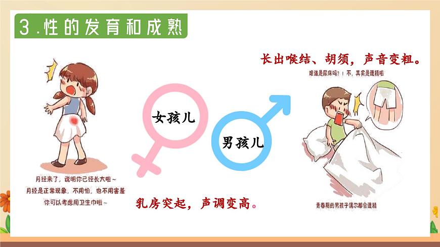 新人教版道法七下 1-1-1《青春的邀约》 课件第7页
