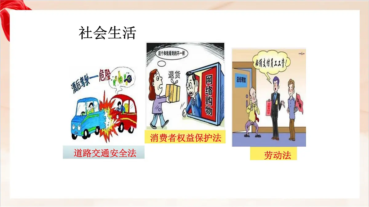 新人教版道法七下 4-9-1《日益完善的法律体系》-教学课件第6页