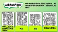 初中政治 (道德与法治)日益完善的法律体系教案配套ppt课件