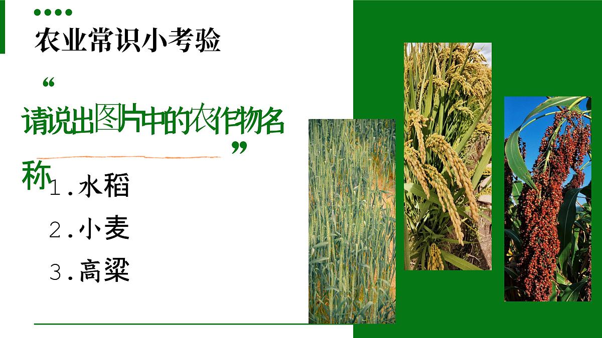 6.1 历久弥新的思想理念   课件 - 2024-2025学年统编版道德与法治 七年级下册第1页