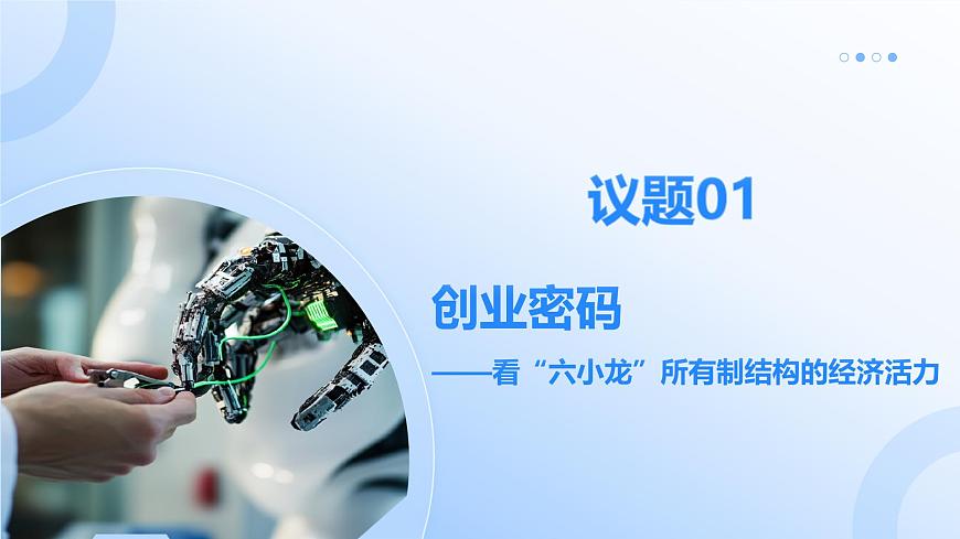 5.3基本经济制度 同步课件-2024-2025学年统编版道德与法治八年级下册第7页