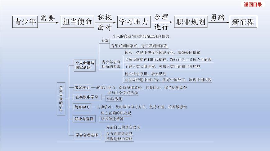 2025年中考道德与法治一轮复习课件：九年级下册-第三单元 走向未来的少年第4页