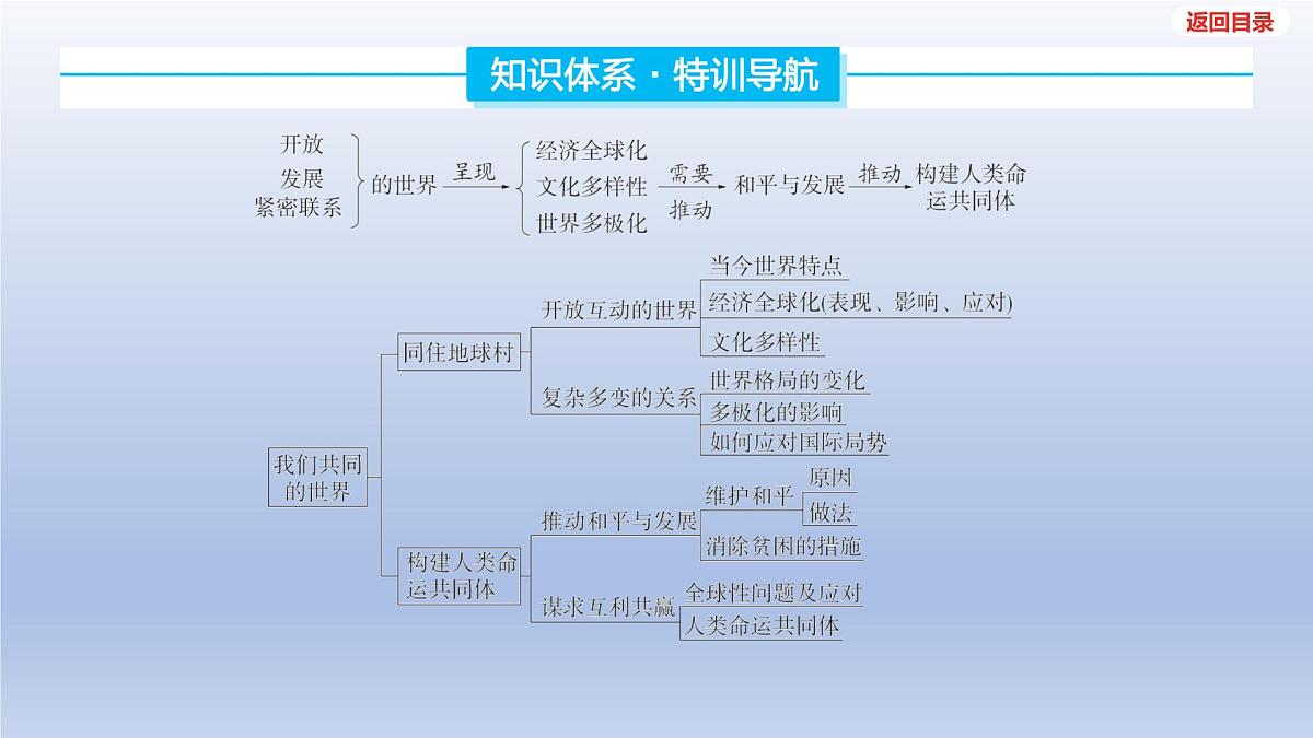 2025年中考道德与法治一轮复习课件：九年级下册-第一单元 我们共同的世界第3页