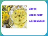 初中政治 (道德與法治)人教版（2024）七年級(jí)下冊(cè)3.6.1歷久彌新的思想理念 課件