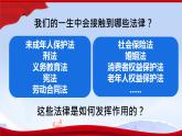 初中政治 (道德與法治)人教版（2024）七年級(jí)下冊(cè)4.11.1法不可違 課件