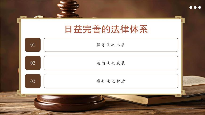 2025年春季部编人教版初中道德与法治七年级下册9.1日益完善的法律体系教学课件第6页