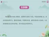 10.3 保障財產(chǎn)權(quán) 課件 道德與法治人教版（2024）七年級下冊第四單元