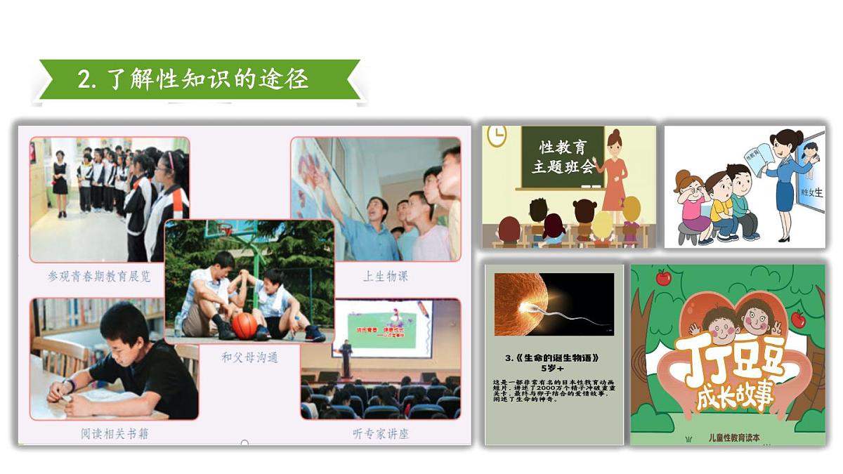 初中道德与法治新人教版七年级下册1.1.3 学会自我保护教学课件2025春第5页