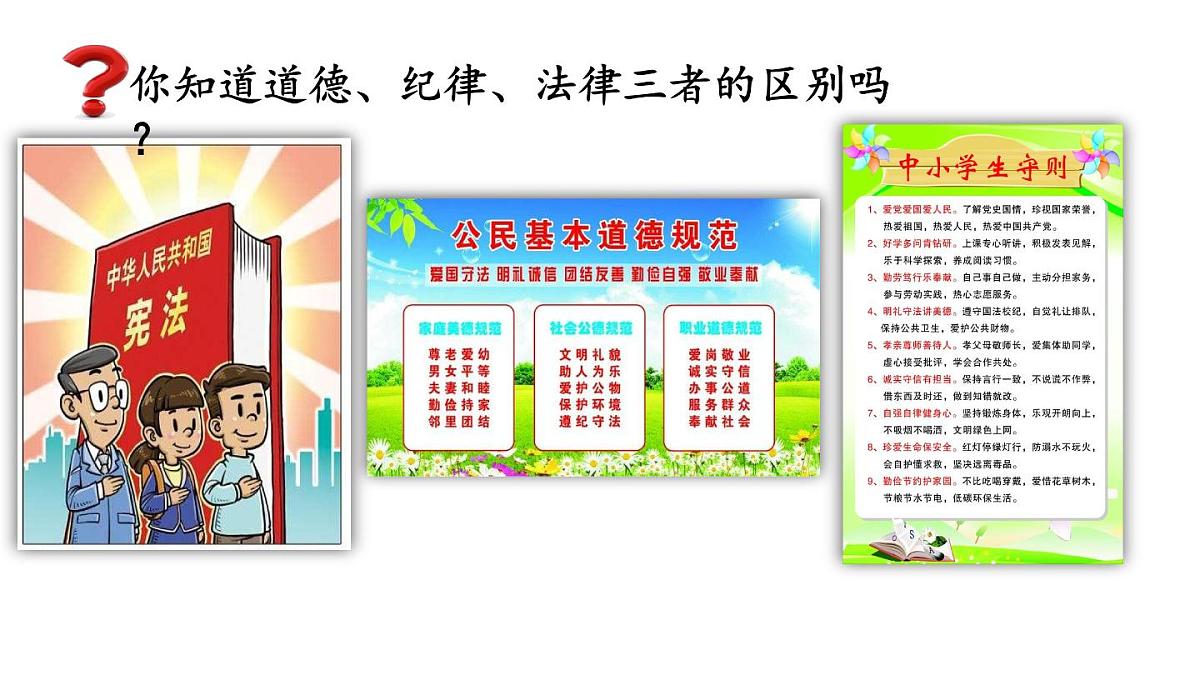初中道德与法治新人教版七年级下册4.9.2 法律保障生活教学课件2025春第2页