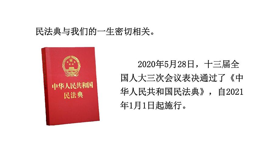 初中道德与法治新人教版七年级下册4.10.1 认识民法典教学课件2025春第5页
