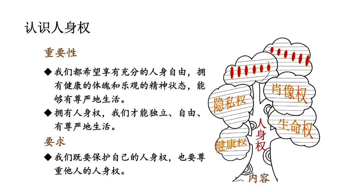 初中道德与法治新人教版七年级下册4.10.2 保护人身权教学课件2025春第3页