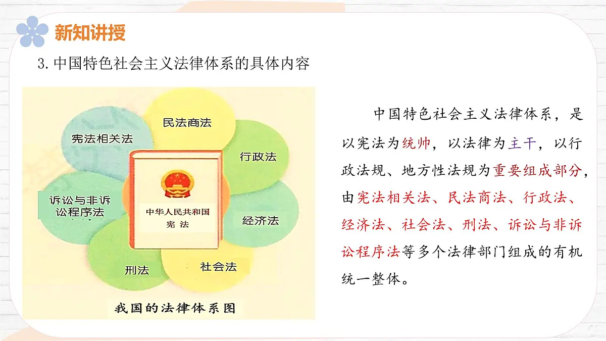 9.1 日益完善的法律体系 课件-2024-2025学年统编版道德与法治七年级下册第8页