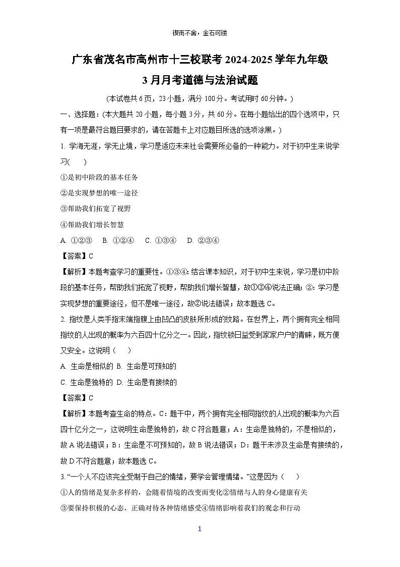 广东省茂名市高州市十三校联考2024-2025学年九年级下3月月考道德与法治试题（解析版）第1页