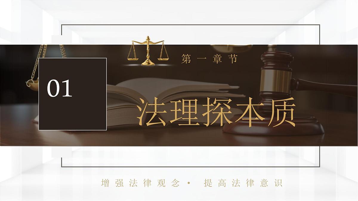 9.1+日益完善的法律体系+课件-2024-2025学年统编版道德与法治七年级下册第5页