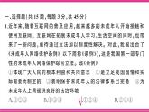 2025年春七年級下冊道法第四單元《生活在法治社會》訓練課件含答案