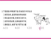 部編人教版初中道德與法治七年級(jí)下冊(cè)第二單元綜合訓(xùn)練課件