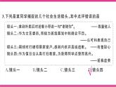 部編人教版初中道德與法治七年級(jí)下冊(cè)第二單元綜合訓(xùn)練課件