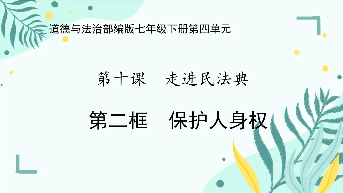 10.2 保护人身权 课件-2024-2025学年统编版道德与法治七年级下册第1页