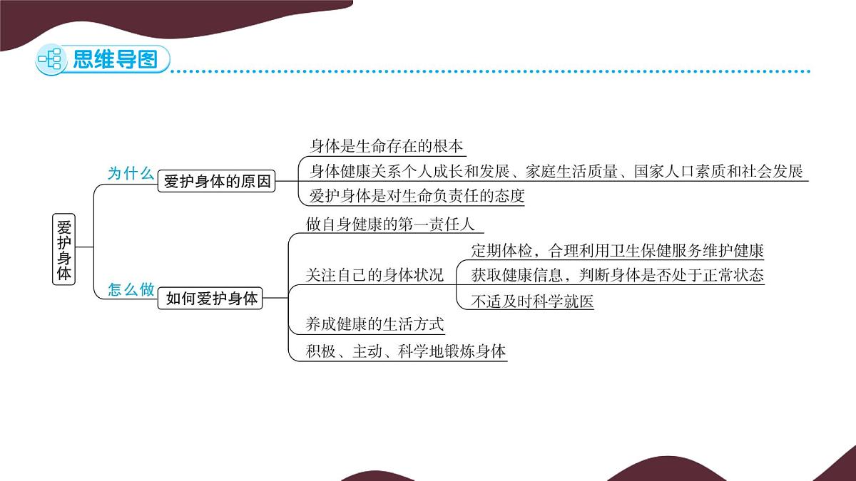 10.1 爱护身体  课件-初中道德与法治  部编版（2024）七年级上册第4页