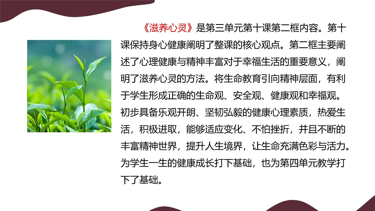 10.2 滋养心灵 说课课件-初中道德与法治 部编版（2024）七年级上册第8页