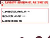 11.1 探问人生目标 课件-初中 道德与法治 部编版（2024） 七年级上册