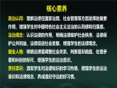 初中 政治 (道德與法治) 人教版（2024）七年級下冊4.9.2法律保障生活 課件