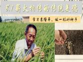 初中 政治 (道德與法治) 人教版（2024）七年級(jí)下冊(cè)3.8.1薪火相傳的傳統(tǒng)美德 課件