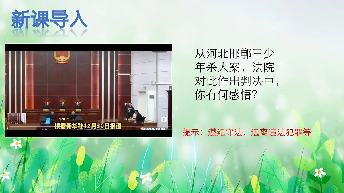 部编人教版初中道德与法治七年级下册11.2犯罪与刑罚教学课件第2页