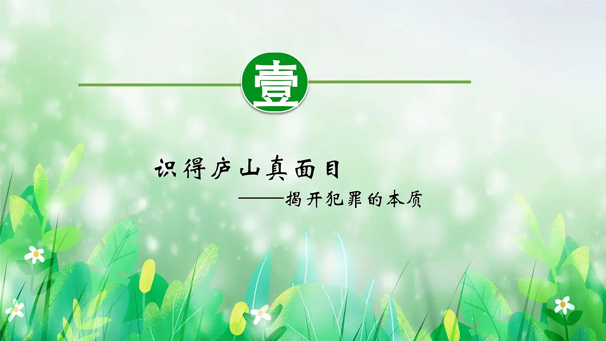 部编人教版初中道德与法治七年级下册11.2犯罪与刑罚教学课件第5页