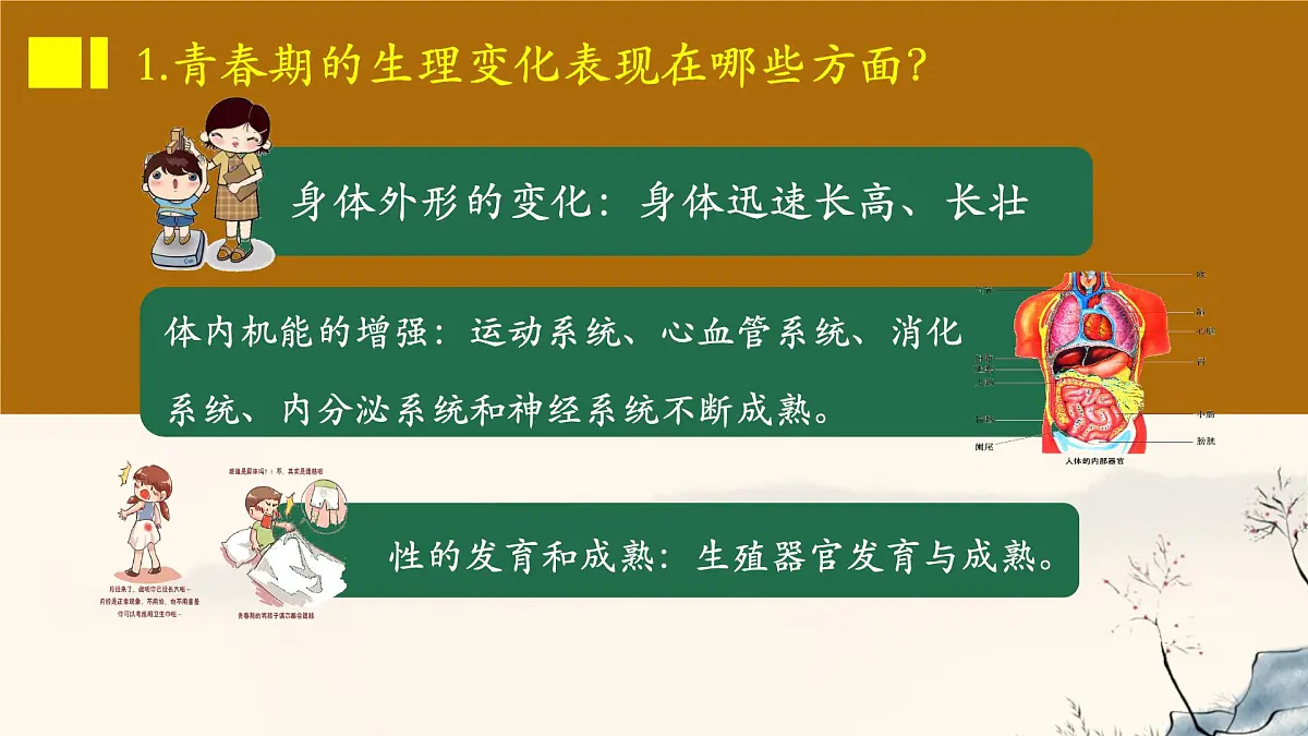 初中 政治 (道德与法治) 人教版（2024）七年级下册第一单元《珍惜青春时光》复习课件第8页