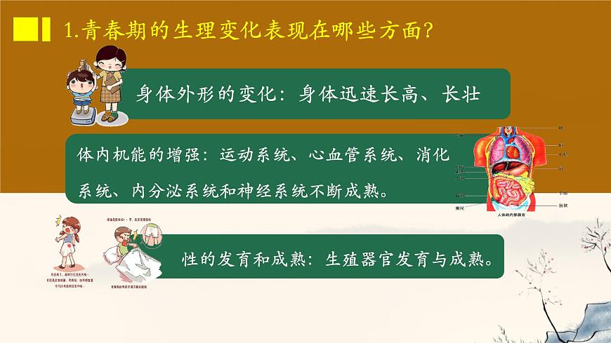 初中 政治 (道德与法治) 人教版（2024）七年级下册第一单元《珍惜青春时光》复习课件第8页