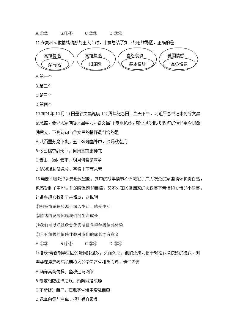 福建省漳州市诏安县2024-2025学年七年级下学期期中考试道德与法治试题第3页