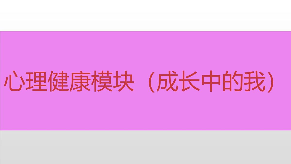 模块二+综合模块 2025年中考道德与法治二轮专题复习实用课件（全国通用）第1页