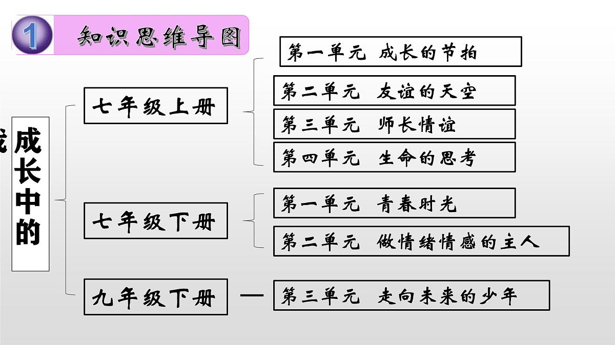 模块二+综合模块 2025年中考道德与法治二轮专题复习实用课件（全国通用）第2页