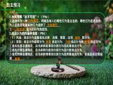初中 政治 (道德與法治) 人教版（2024）七年級(jí)下冊(cè)4.11.1法不可違 課件