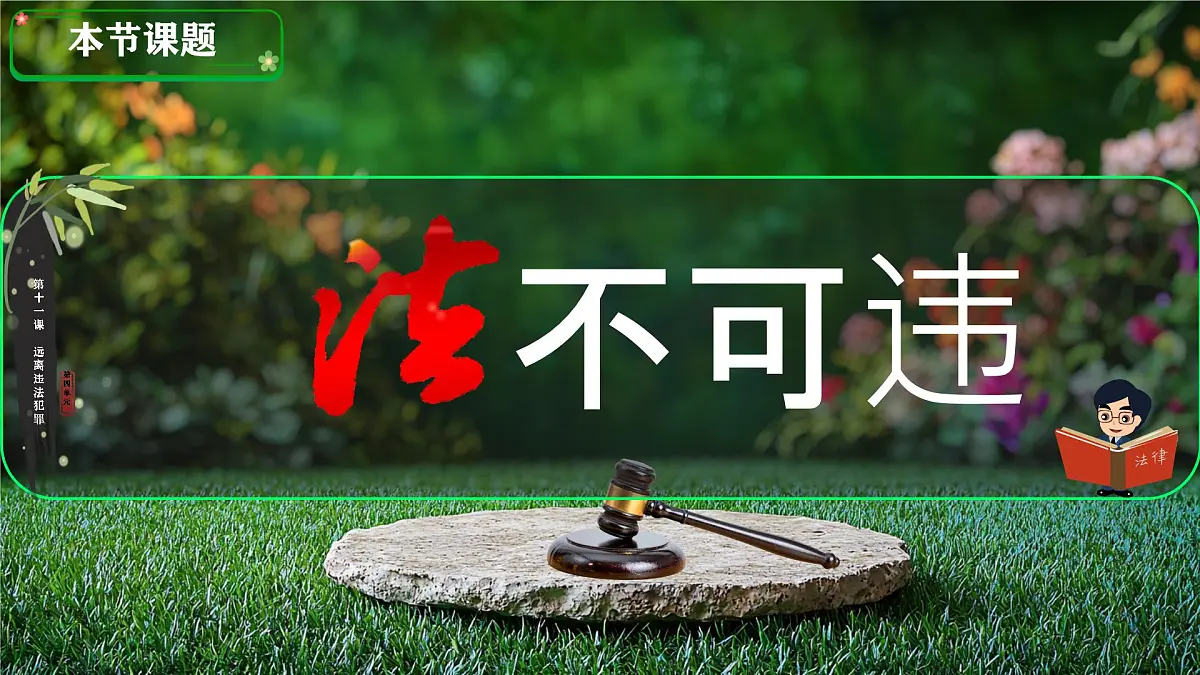 初中 政治 (道德与法治) 人教版（2024）七年级下册4.11.1法不可违 课件第4页