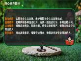 初中 政治 (道德與法治) 人教版（2024）七年級(jí)下冊(cè)4.11.1法不可違 課件